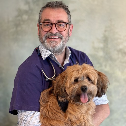 Dr POUX Francois-Xavier